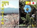 Cherry blossoms, Mt. Fuji; Blue Poppy (Meconopsis grandis)