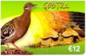Gobtra - Bird, African Village