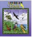 Caribbean Birds
