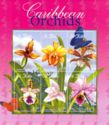 Caribbean Orchids