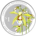 1 Dollar (Coelogyne Rochussenii)