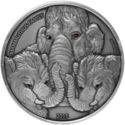 10,000 CFA Francs (Mammoths Family)