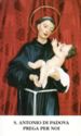 "Anthony of Padua", Rivotorto, Assisi, Umbria - Saints (M)