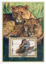 Lions and Scalloped Yellow Glider (Cymothoe fumana)