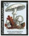 Fool's mushroom (Amanita verna)
