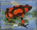Harlequin poison frog (Dendrobates histrionicus)