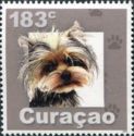 Yorkshire Terrier (Canis lupus familiaris)