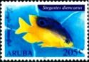 Longfin Damselfish (Stegastes diencaeus)