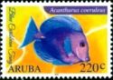 Blue Tang (Acanthurus coeruleus)
