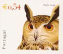 Eurasian Eagle-Owl (Bubo bubo)