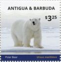 Polar Bear (Ursus maritimus)