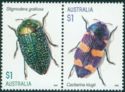 Jewel Beetles