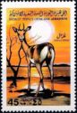 Dorcas Gazelle (Gazella dorcas)