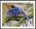 Taiwan Blue Magpie (Urocissa caerulea)
