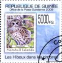 Owls Stamps on Stamps - Barred Owl (Strix varia)