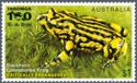 Southern Corroboree Frog (Pseudophryne corroboree)