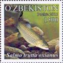 Amu-darya Trout (Salmo trutta oxianus)