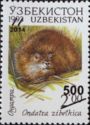 Muskrat (Ondatra zibethica) - Surch and Opt