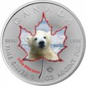 5 Dollars (Polar Bear Cub)