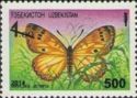 Brush-footed Butterfly (Melitaea acreina) - Surch and Opt