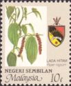 Agricultural Products- Piper nigrum