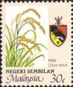 Agricultural Products- Oryza sativa
