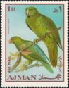 Blue-backed Parrot (Tanygnathus mulleri ssp. everetti) 