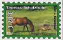 Horse (Equus ferus caballus)