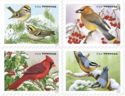 Songbirds in Winter