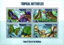 Tropical Butterflies