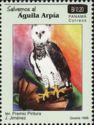 Harpy Eagle (Harpia harpyja)