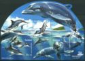 Dolphins