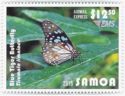 Blue Tiger Butterfly (Tirumala limniace)