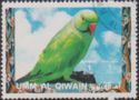 Rose-ringed Parakeet (Psittacula krameri)