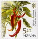 Capsicum annuum