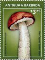 Red-capped Scaber Stalk (Leccinum aurantiacum)