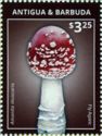 Fly Agaric (Amanita muscaria)