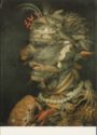 Water. G. Arcimboldo