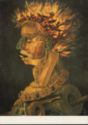 Fire. G. Arcimboldo