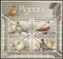 Pigeons