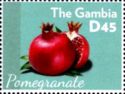 Pomegranate
