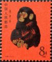 Year of the Monkey