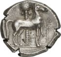 1 Tetradrachm (Punic - Entella)
