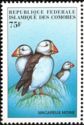 Atlantic Puffin (Fratercula arctica)