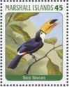 Toco Toucan (Ramphastos toco)