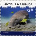 Dugong (Dugong dugon)