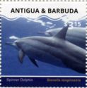 Spinner Dolphin (Stenella longirostris)