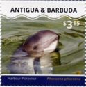 Harbour Porpoise (Phocoena phocoena)