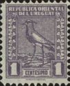 Southern Lapwing (Vanellus chilensis)