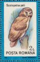 Pel's Fishing Owl (Scotopelia peli)